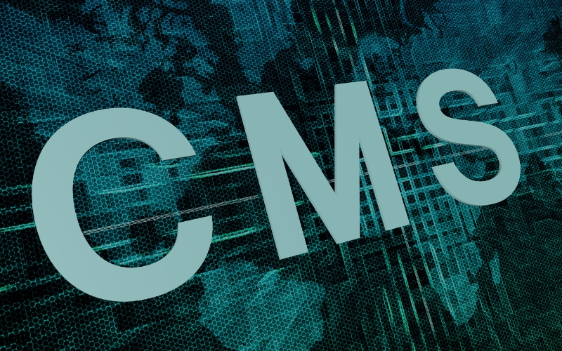 Streamlining Website Updates with Efficient Content Management Systems (CMS)