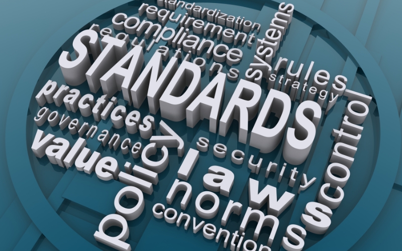 Understanding Web Accessibility Standards and Guidelines